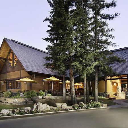 Buffalo Mountain Lodge Banff Kültér fotó